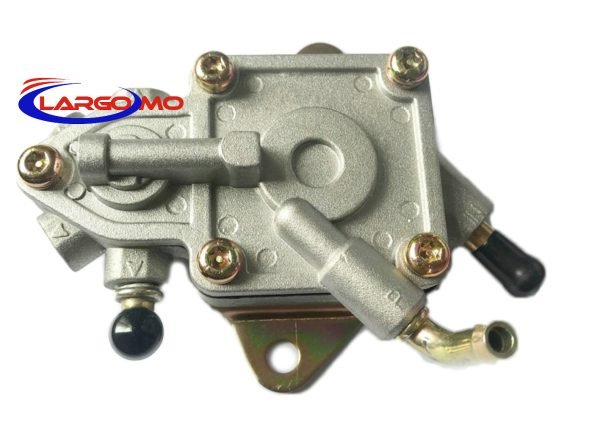 Motorcycle oil pump fuel pump